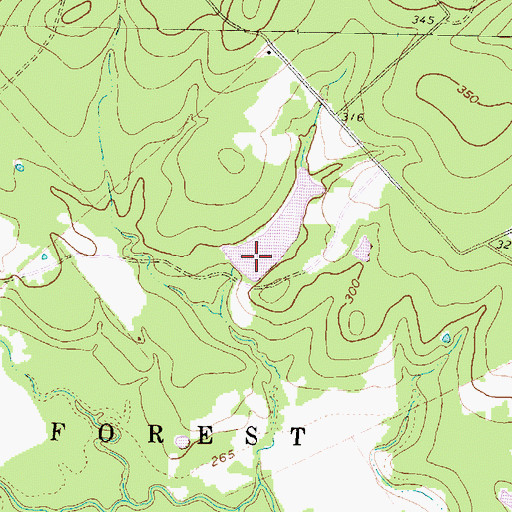 Topographic Map of Griffin Lake Dam, TX
