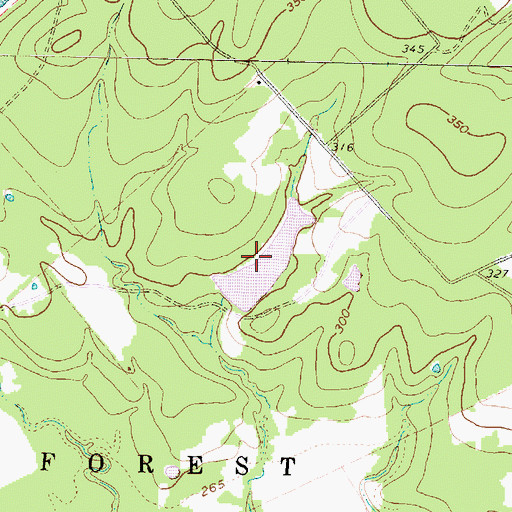 Topographic Map of Griffin Lake, TX
