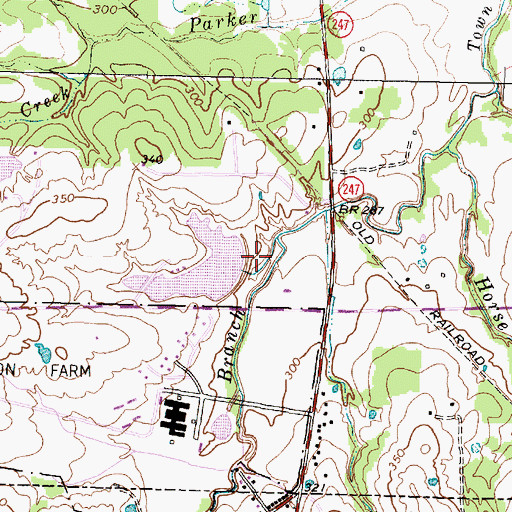 Topographic Map of Pizzo Lake, TX
