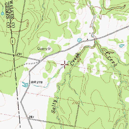Topographic Map of Romano Lake Dam, TX
