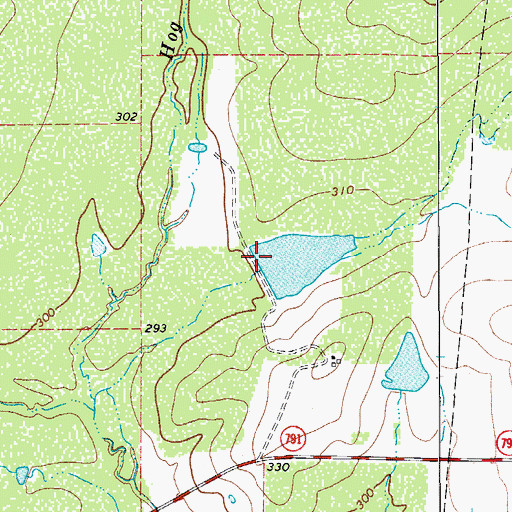 Topographic Map of Maspero Lake, TX