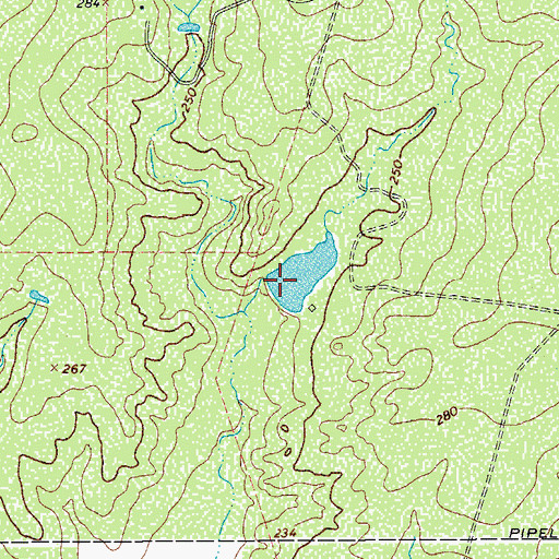 Topographic Map of Singer Lake, TX