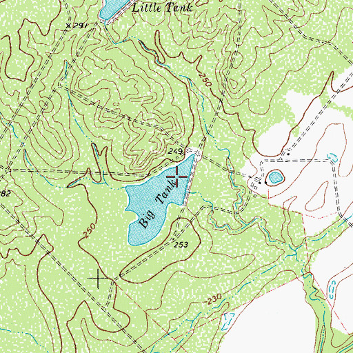 Topographic Map of Big Tank Dam, TX