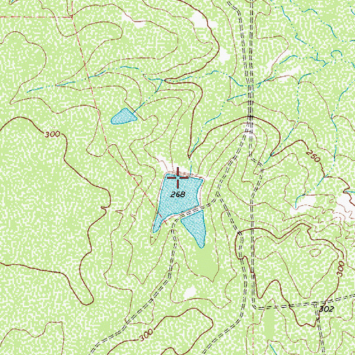 Topographic Map of Dully Lake, TX