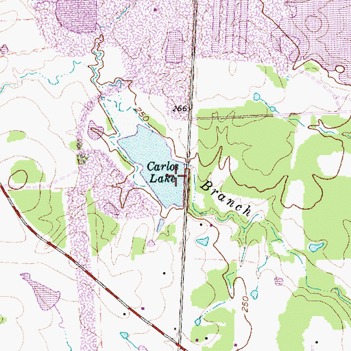 Topographic Map of Carlos Lake Dam, TX