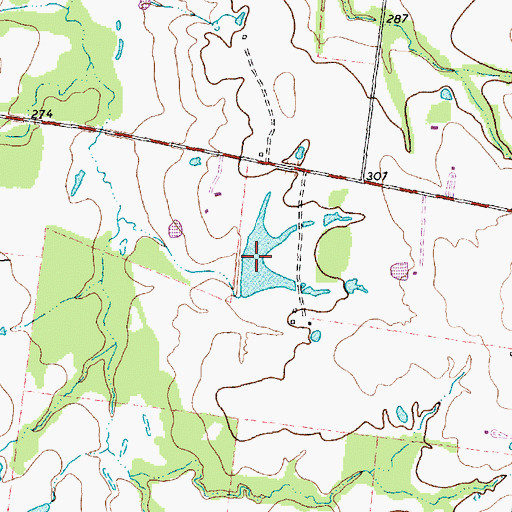 Topographic Map of Walker Lake, TX