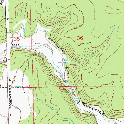Topographic Map of Smugglers Ditch, CO