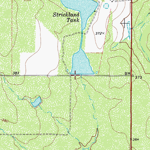 Topographic Map of Strickland Lake Number 2, TX