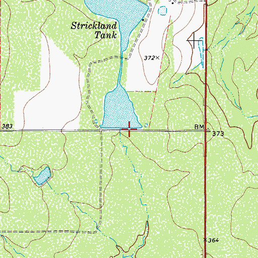 Topographic Map of Strickland Lake Number 1, TX