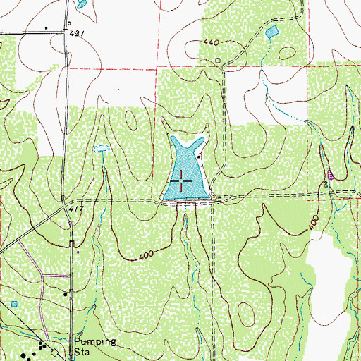 Topographic Map of Quillian Lake, TX