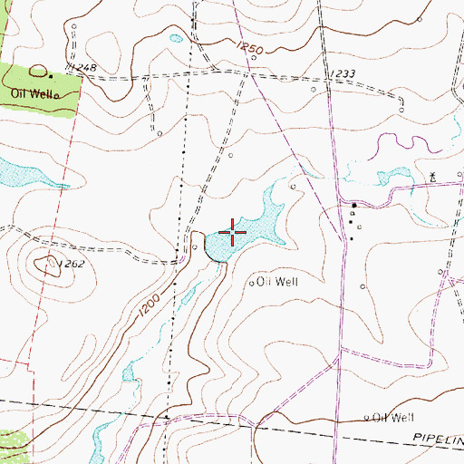 Topographic Map of Richards Lake Dam, TX