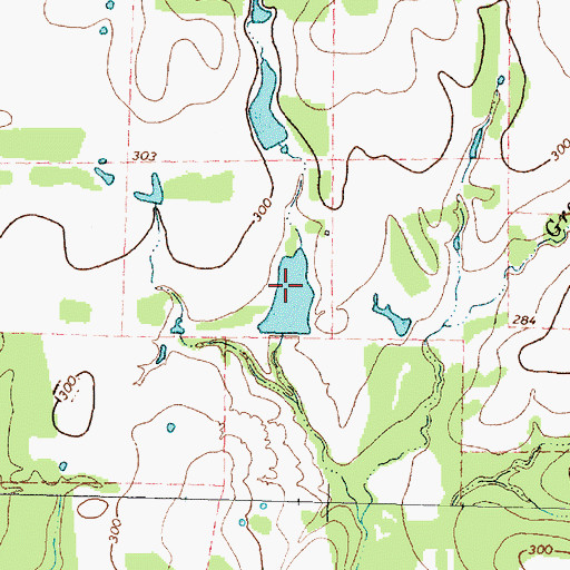 Topographic Map of Walker Lake Number 1, TX