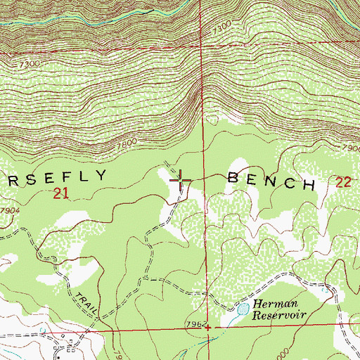 Topographic Map of Horsefly Bench, CO