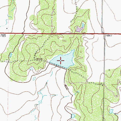 Topographic Map of Moore Lake, TX