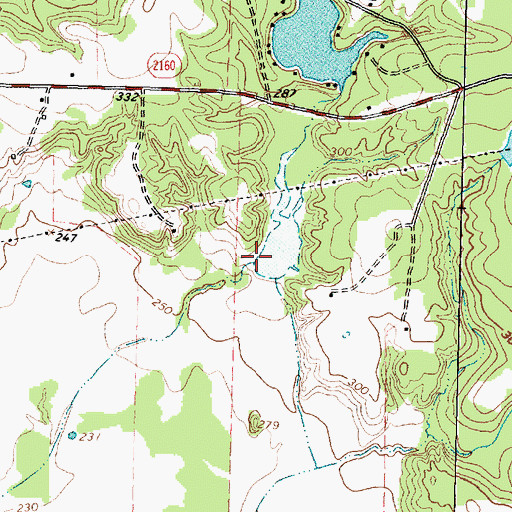 Topographic Map of Skalicky Dam, TX