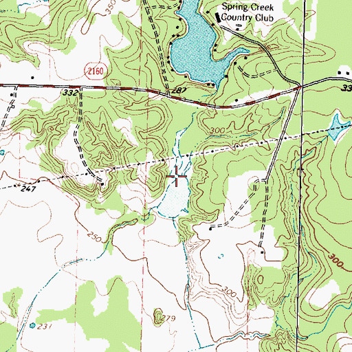 Topographic Map of Skalicky Lake, TX