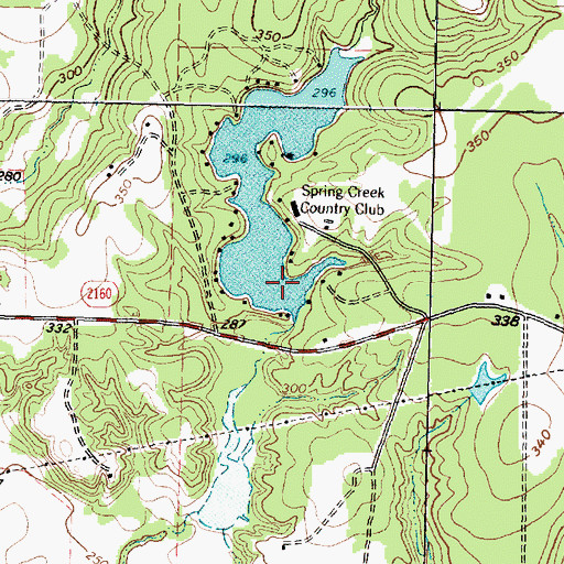 Topographic Map of Spring Creek Country Club Lake, TX