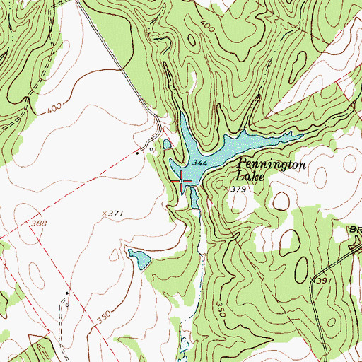 Topographic Map of Pennington Dam, TX
