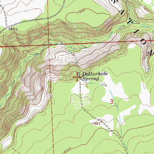 Topographic Map of Dollarhide Spring, CO