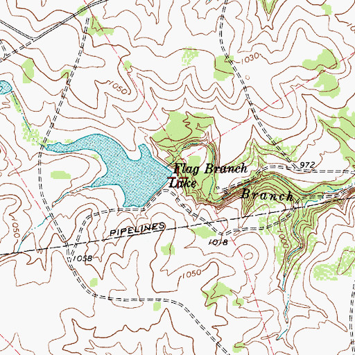 Topographic Map of Flag Branch Dam, TX