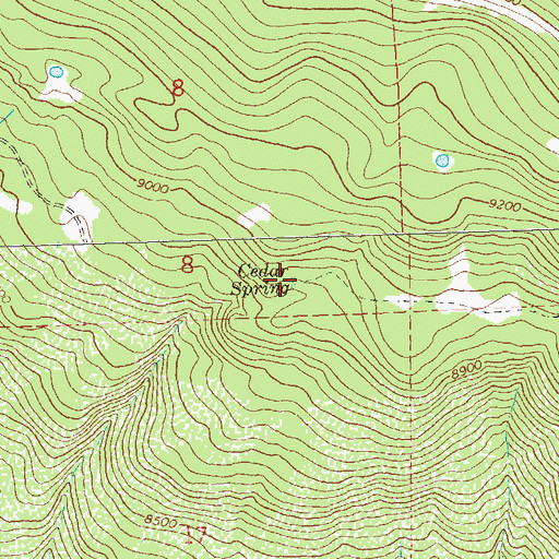 Topographic Map of Cedar Spring, CO