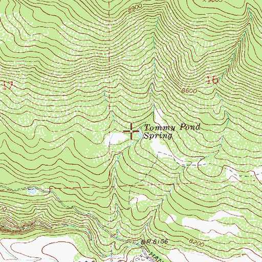 Topographic Map of Tommy Pond Spring, CO