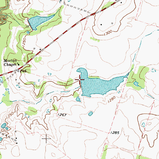 Topographic Map of Golden Dam, TX