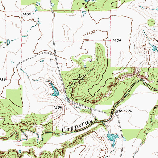Topographic Map of Bingham Dam, TX