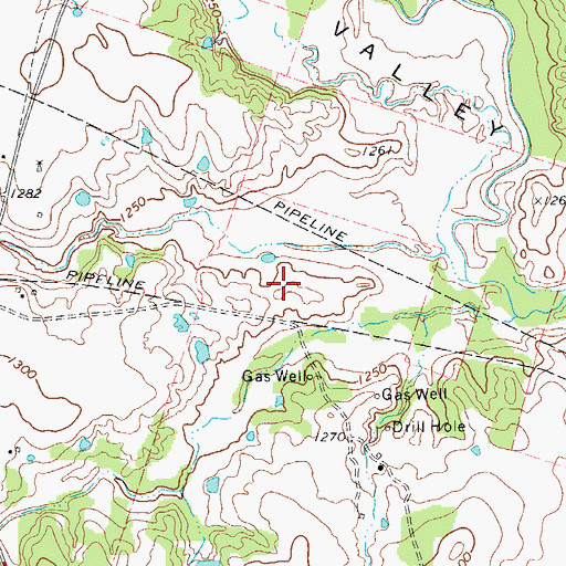 Topographic Map of Gilder Lake, TX