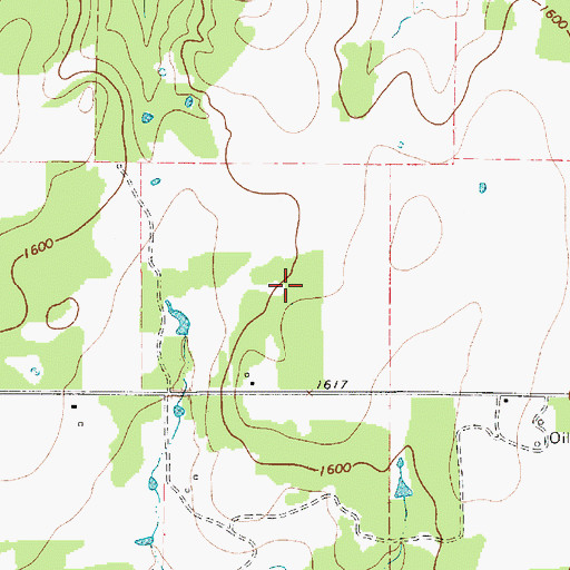 Topographic Map of Gibson Lake, TX