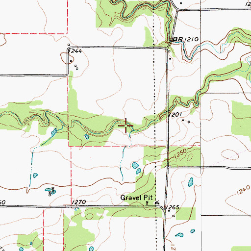 Topographic Map of Bingham Brothers Lake, TX