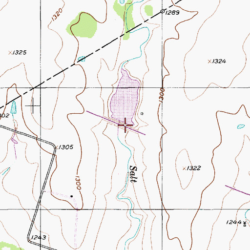 Topographic Map of Soil Conservation Service Site 21 Dam, TX