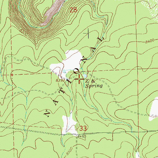 Topographic Map of Z K Spring, CO