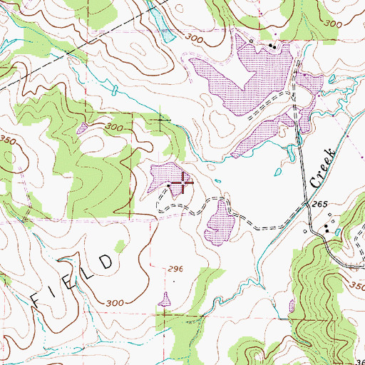 Topographic Map of Clements Dam Number 4, TX