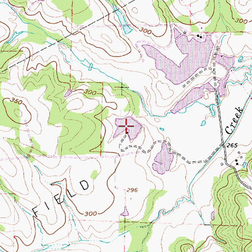 Topographic Map of Clements Lake Number 4, TX