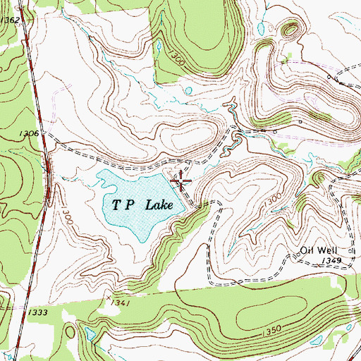 Topographic Map of Rogers Dam, TX