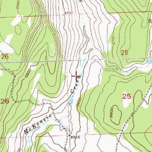 Topographic Map of East Fork Mc Kenzie Creek, CO