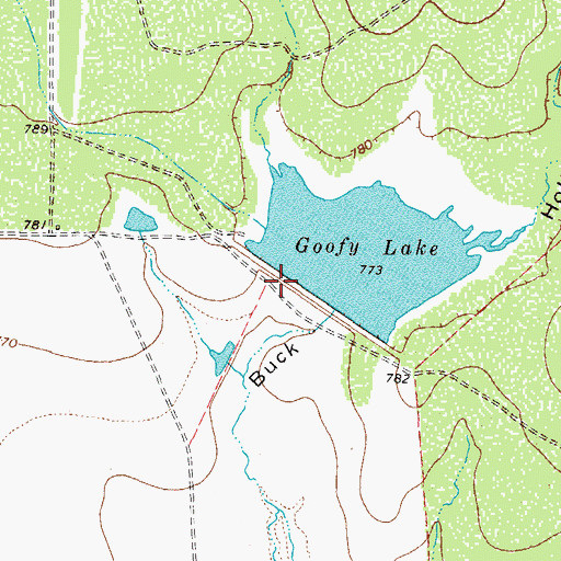 Topographic Map of Goofy Lake Dam, TX