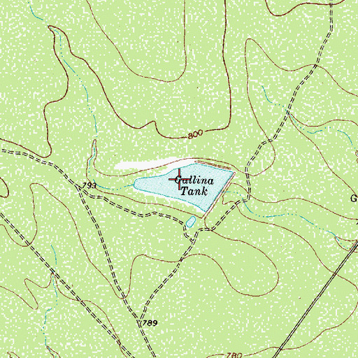 Topographic Map of Roswell Lake, TX
