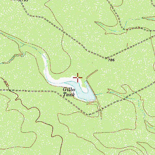 Topographic Map of Saner Lake Number 1 Dam, TX