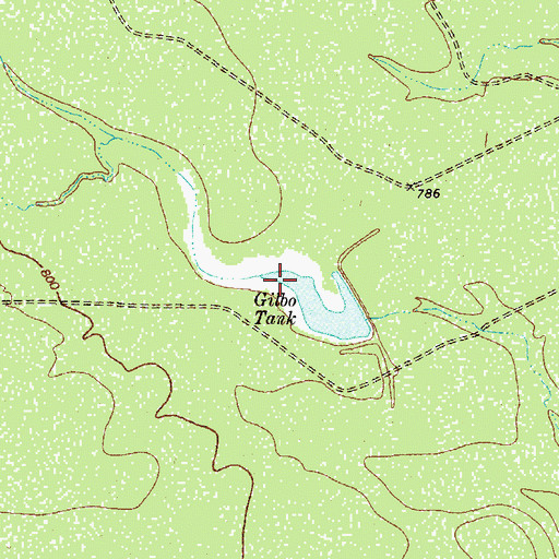 Topographic Map of Saner Lake Number 1, TX