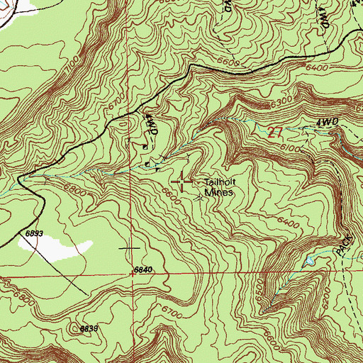 Topographic Map of Tailholt Mines, CO