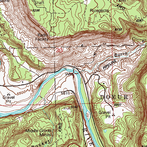 Topographic Map of Burro Canyon, CO