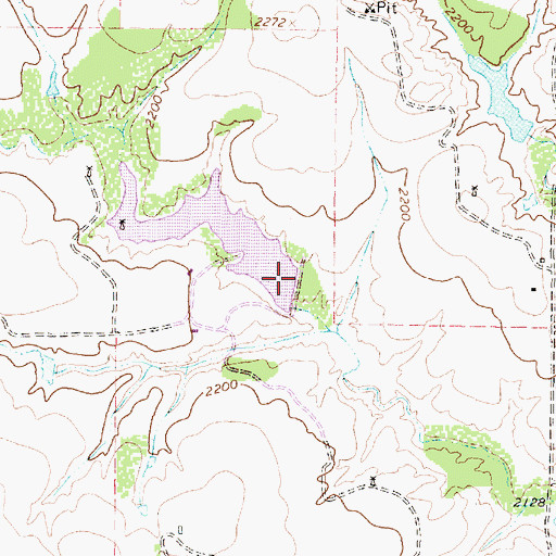 Topographic Map of Chamberlain Dam, TX