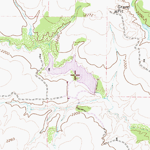 Topographic Map of Chamberlain Lake, TX