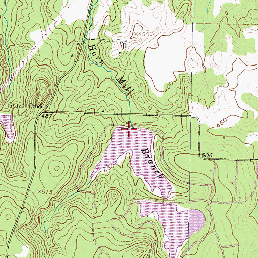 Topographic Map of Lower Raintree Lake Dam, TX