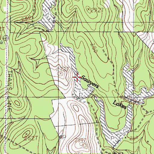 Topographic Map of West Sawyers Lake, TX