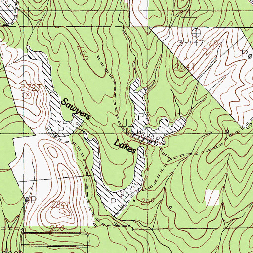 Topographic Map of East Sawyers Lake, TX
