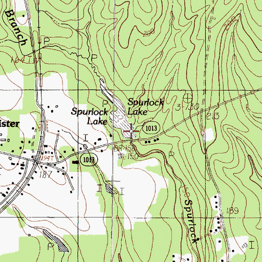 Topographic Map of Spurlock Lake Dam, TX