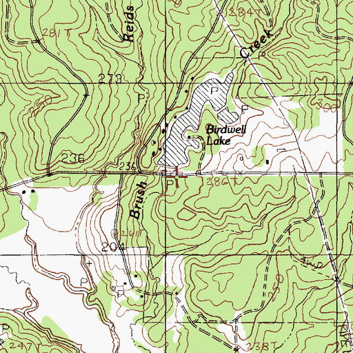 Topographic Map of Birdwell Lake, TX